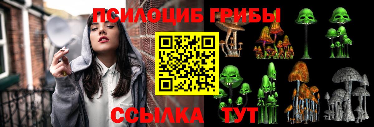 Псилоцибиновые грибы GOLDEN TEACHER  Псилоцибиновые грибы ЛСД  Вход с VPN  наркотики  Шахты 